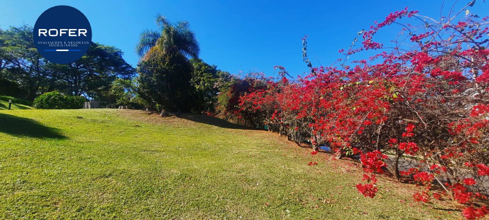 Casa, 4 quartos, 600 m² - Foto 14